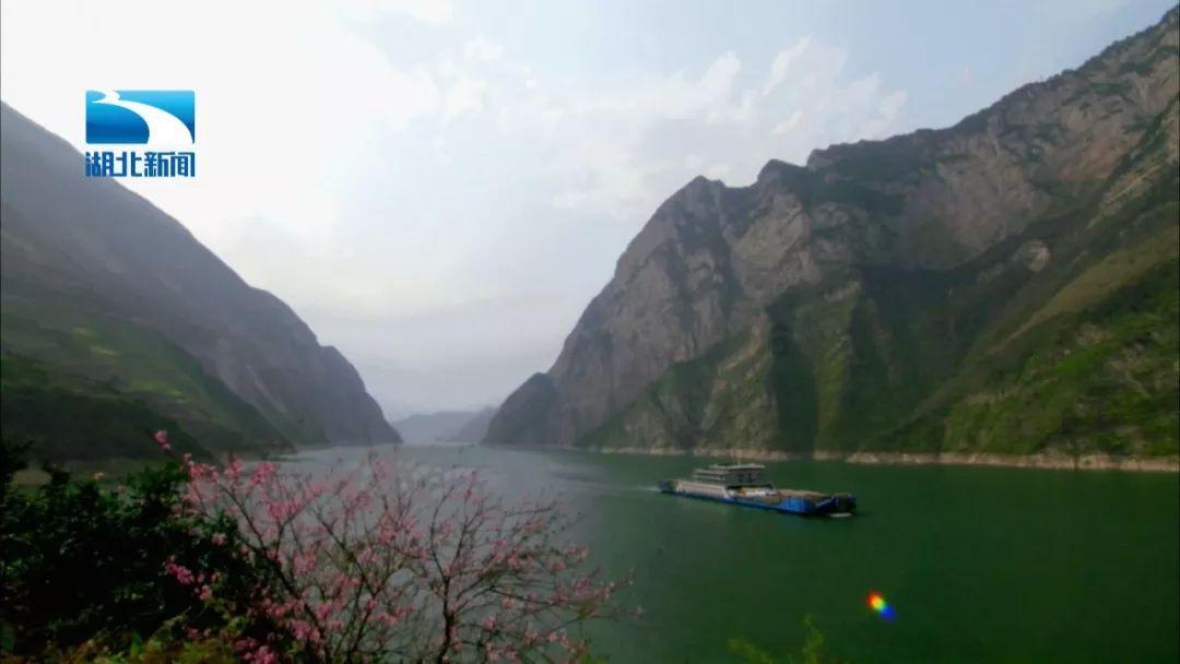 奥日与黑暗森林